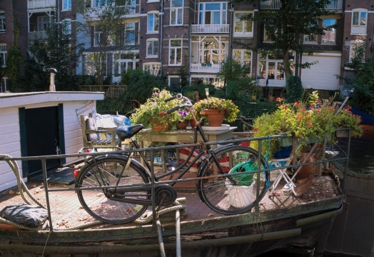 阳光城市建筑屋顶自行车盆栽植物