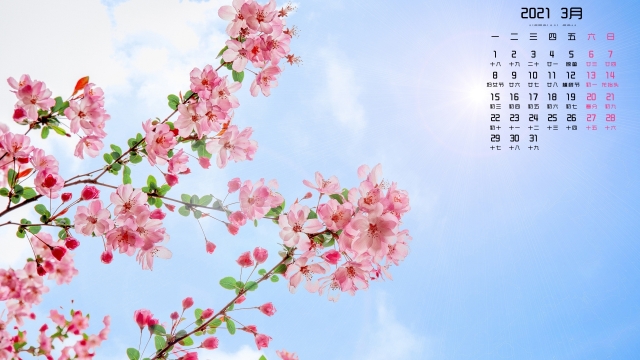 2021年3月桃花高清桌面日历壁纸