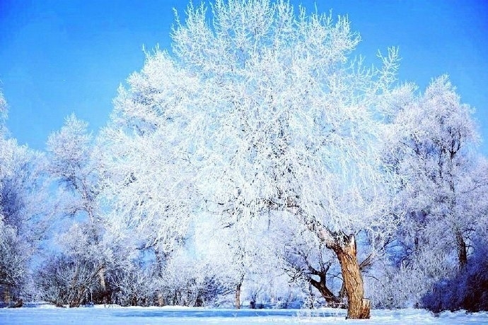 唯美雪景图片