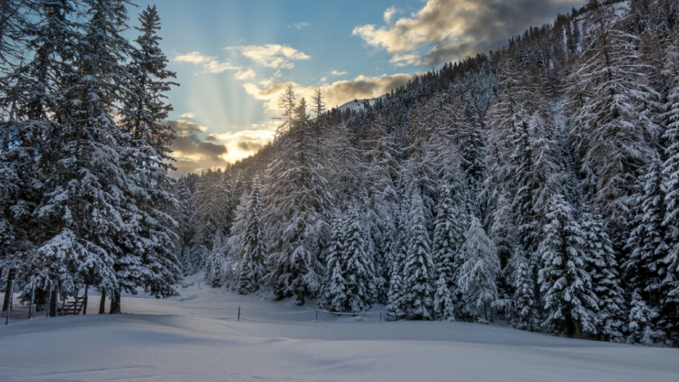 唯美冬天雪景高清桌面壁纸