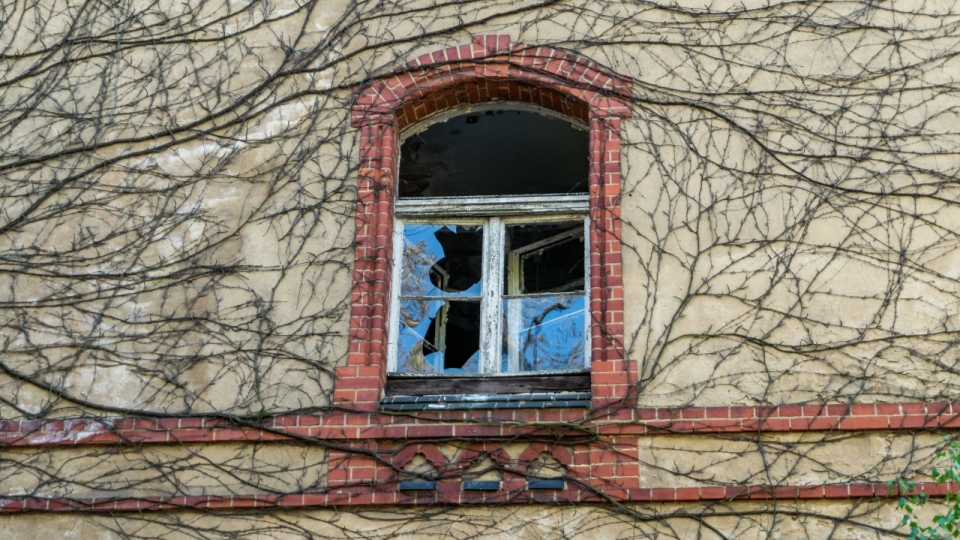老旧房屋外墙攀爬藤蔓破损窗户外景