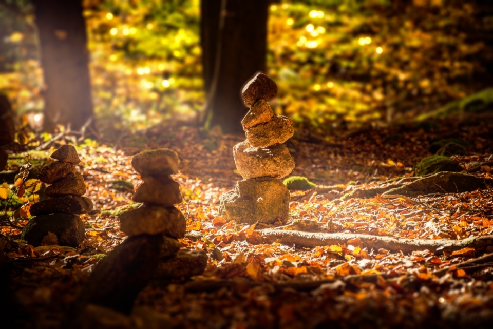 秋天树林落叶地面堆叠石头