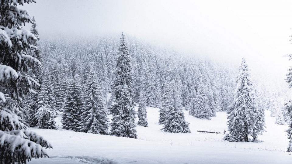 唯美冬季雪景自然风光高清桌面壁纸