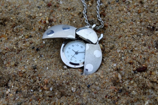 土地上金色金属瓢虫形怀表