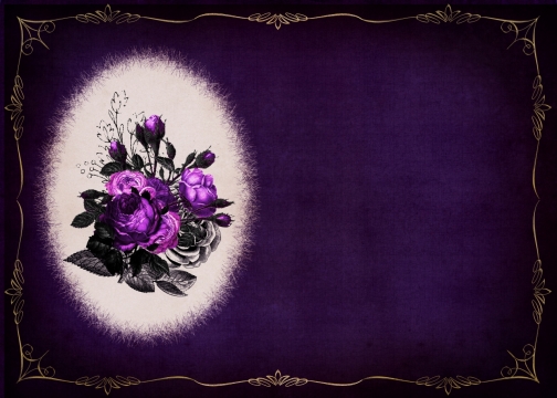 紫色背景下的紫牡丹手绘