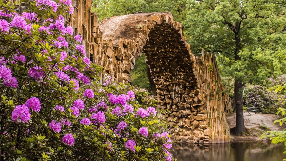 树林中小河上一座石头搭砌小桥与花簇
