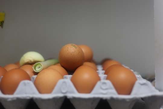 家中餐桌上摆放整齐鸡蛋外壳特写