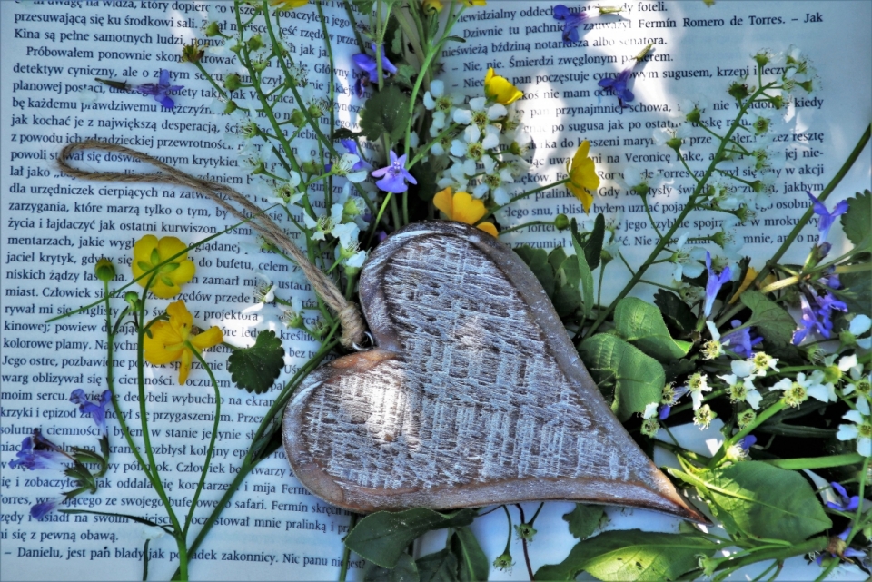 阳光书本自然花朵植物木制心形装饰