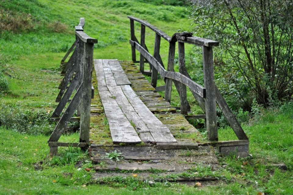 草坪小溪上一座长满青苔的木桥