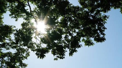 天空刺眼的阳光太阳高清桌面壁纸