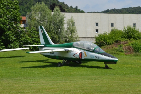 空地上飞机模型绿色植物风光