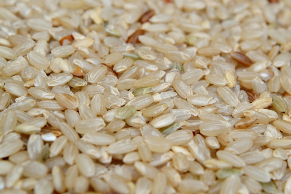 成堆的大米食物特写摄影