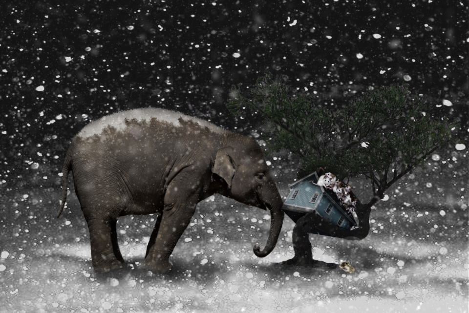 抽象手绘艺术插画雪天里大象和房子