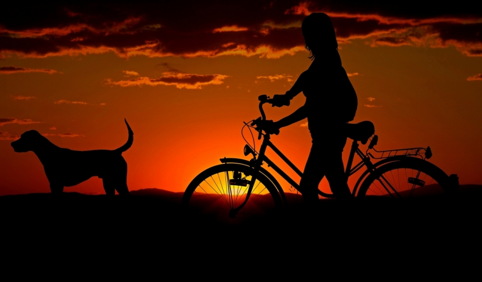 夕阳下推着自行车的女孩和狗逆光摄影