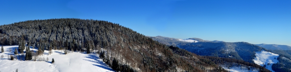 风景摄影_郊外山区茂密树林雪景风光