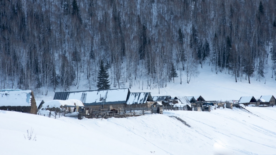 唯美冬季雪景高清桌面壁纸