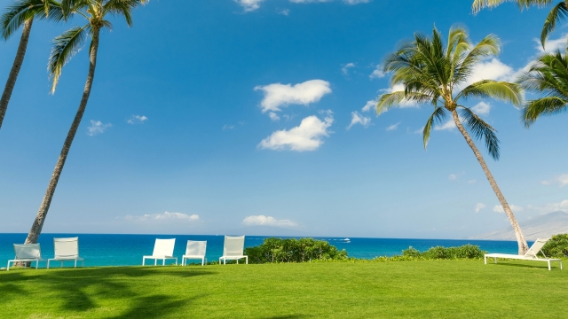 唯美清新绿色植物护眼蓝天白云高清桌面壁纸