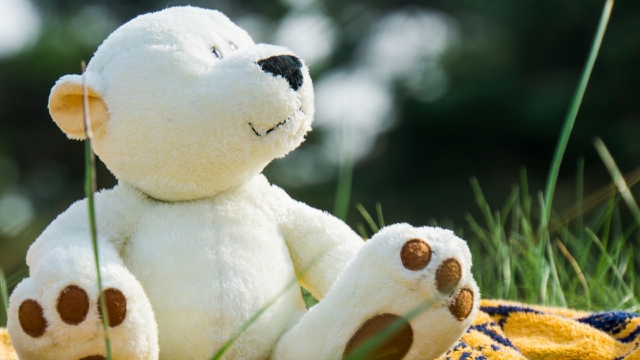 玩具熊毛绒玩具高清桌面壁纸