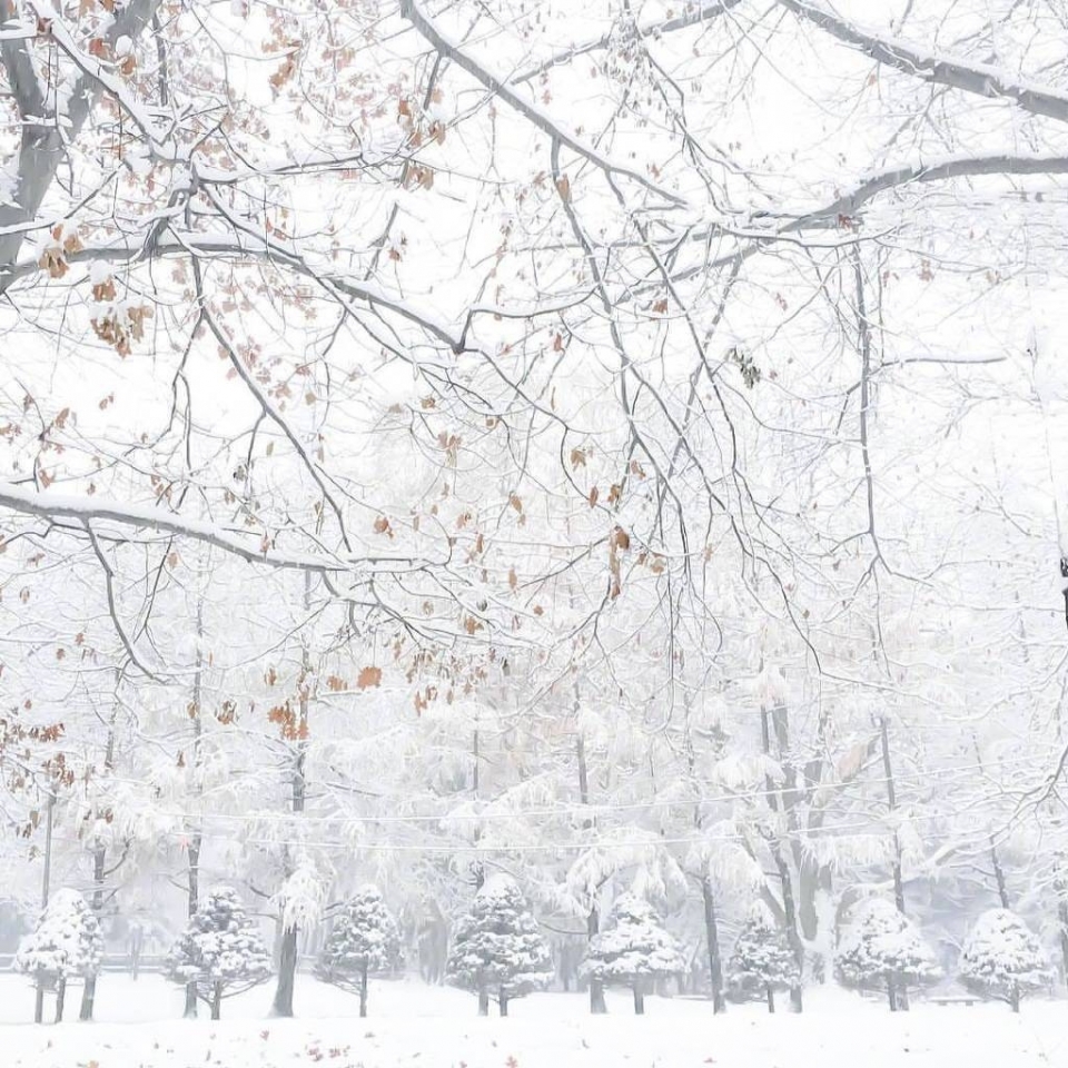 唯美雪景风景写真图片