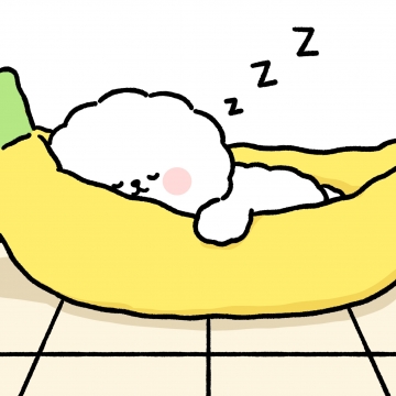 比熊搞笑写真图片