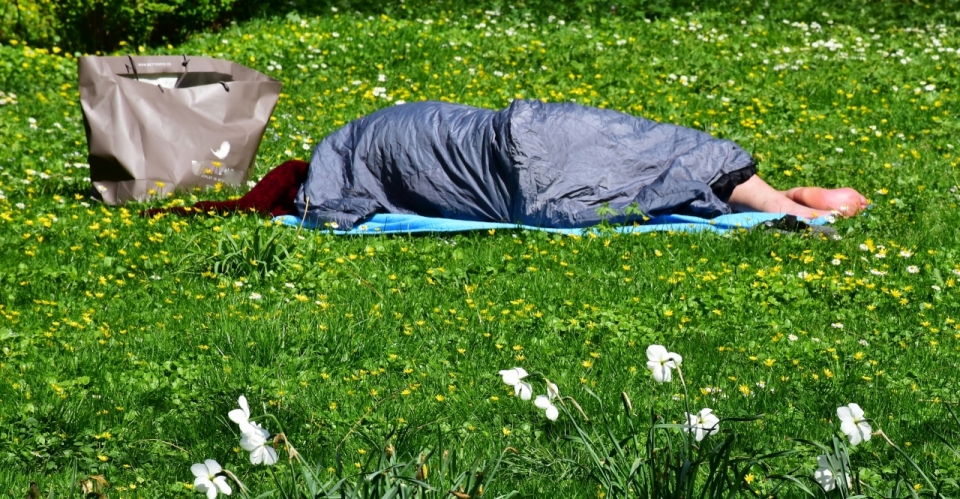 阳光户外自然草坪裹睡袋睡觉男性
