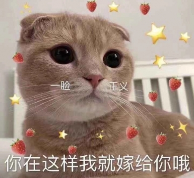 搞笑表情包图片