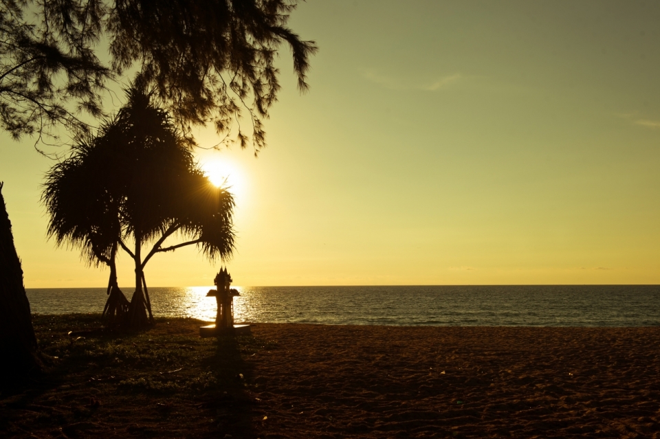 大海沙滩棕榈树日落逆光摄影