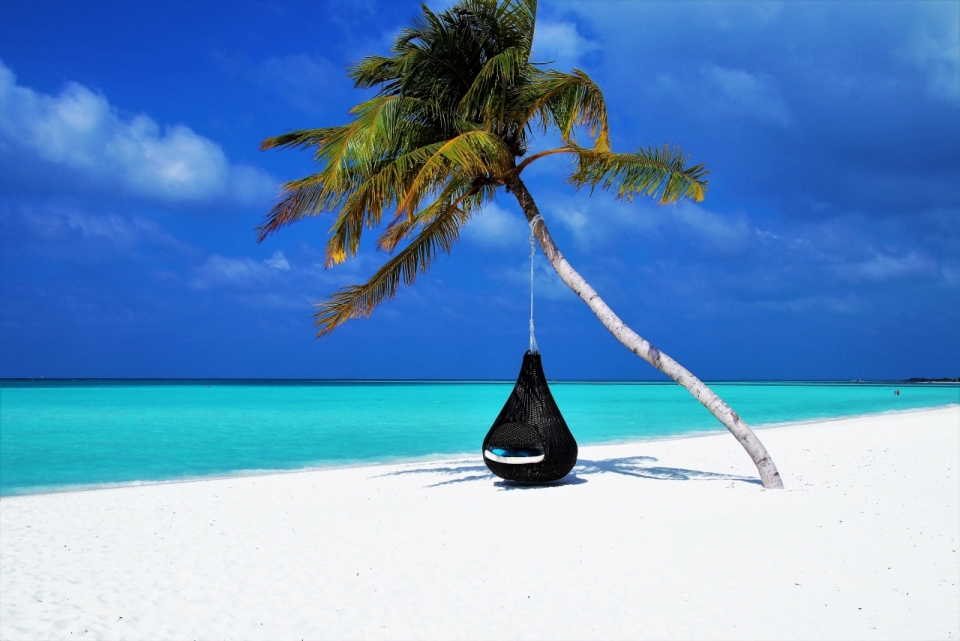 阳光大海沙滩椰子树上黑色吊椅