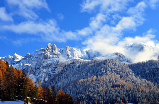 蓝天白云下雪山风光和云杉树林