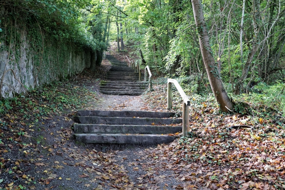 森间山路石头台阶