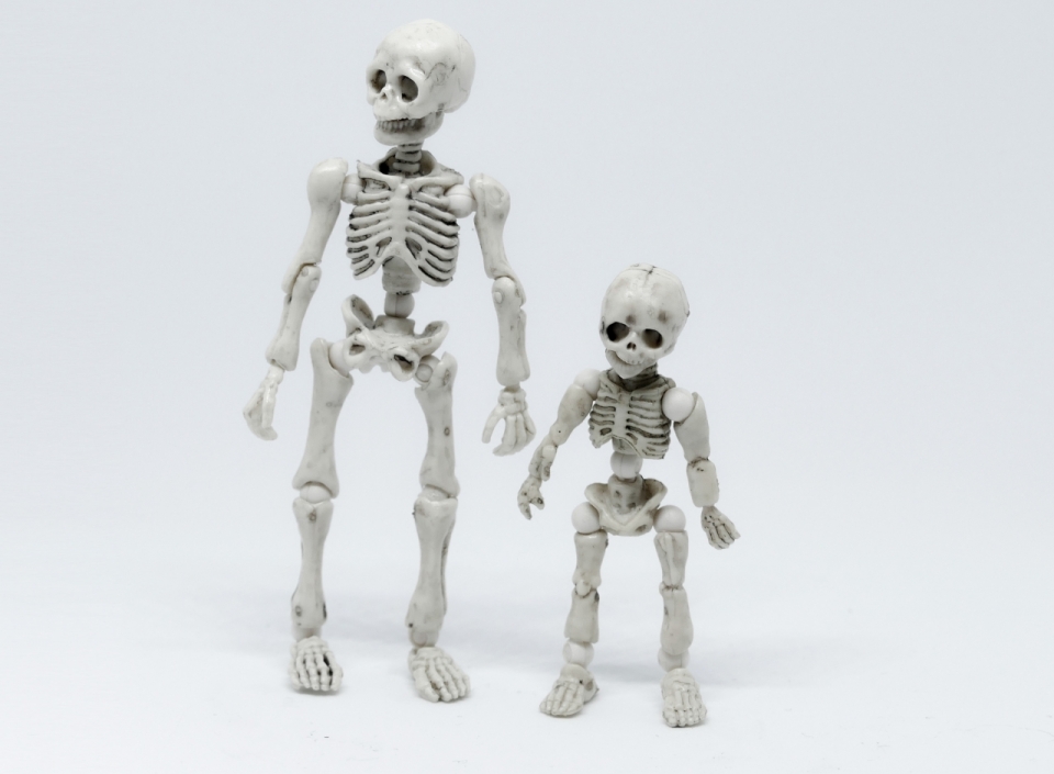 简约灰色背景白色人类骨架模型