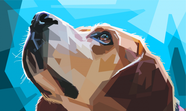 蓝色背景简约几何构成可爱狗插画