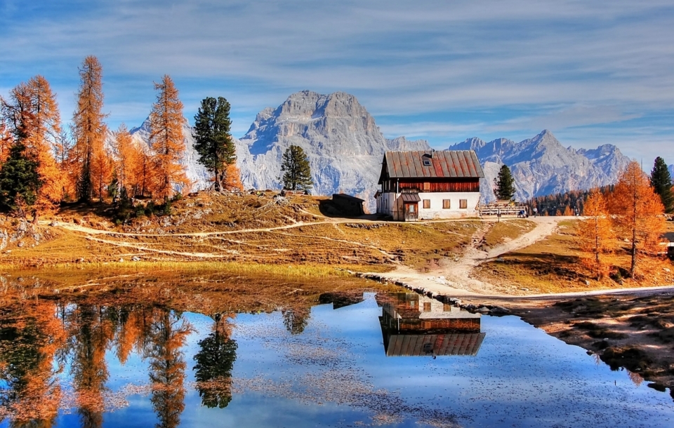 秋天湖边金色草地树木风景