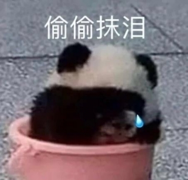 生气表情包搞笑图片