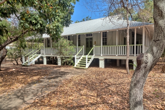 白色房屋后院满地棕褐色枯叶