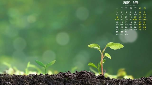 2021年3月春天的气息高清桌面日历壁纸