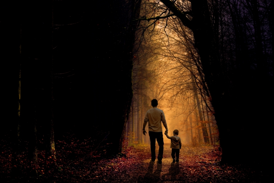 父亲牵着儿子在黄色的枯树林里行走