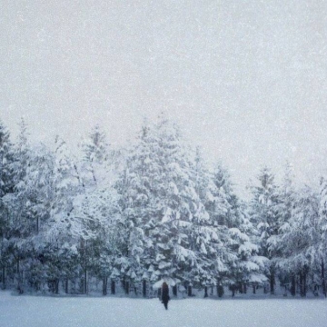 唯美雪景风景写真图片