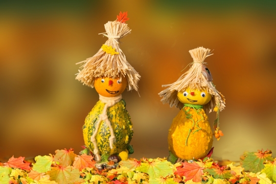 背景虚化枯黄落叶上的南瓜小人