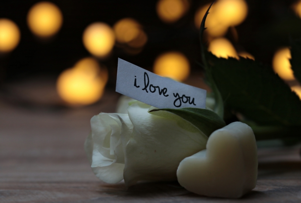 虚化光点背景木桌白色玫瑰浪漫卡片
