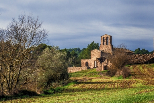 乡村碧绿田地中石壁建筑风光