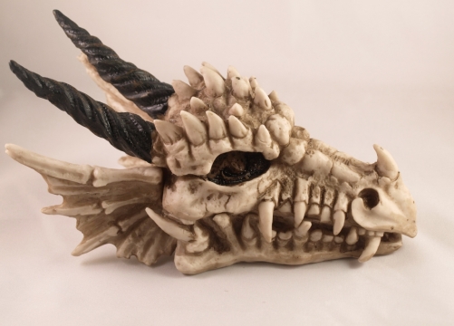 桌面摆放创意设计恐龙头骨微距