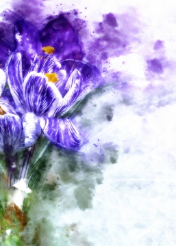 紫色花壁纸文艺清新浪漫主义水墨