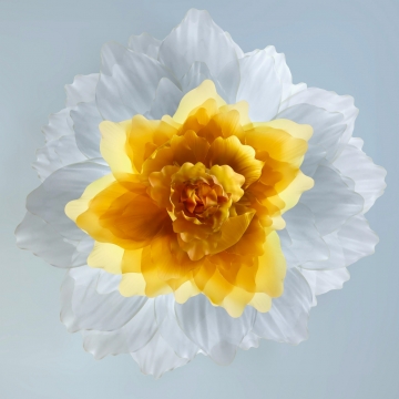 华为MateX2自带壁纸