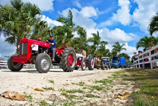 阳光户外乘红色拖拉机男性