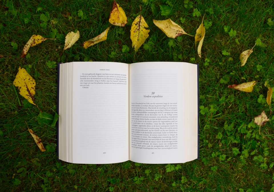 绿色草地上散落的枯叶与翻开的书本