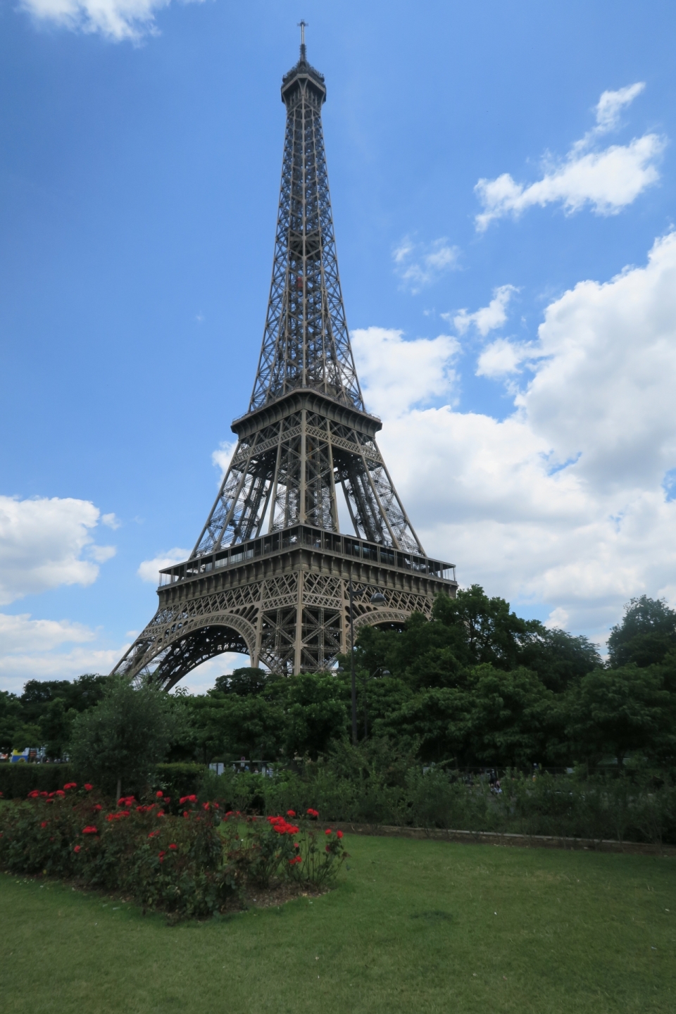 法国巴黎城市街道自然草坪前埃菲尔铁塔