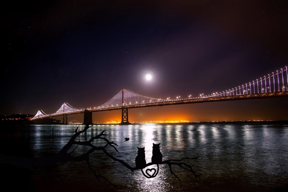 月光下的过江大桥夜景