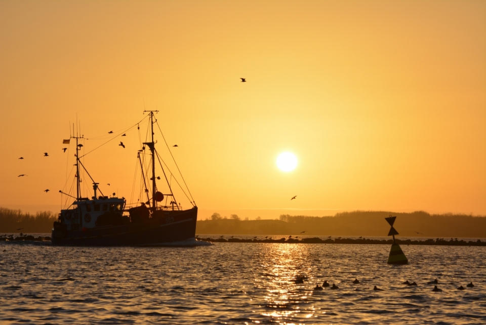 夕阳落日下湖面上渔船金色水面天空摄影