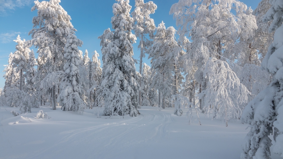 北方冬季雪景白雪皑皑自然风光优美风景高清桌面壁纸